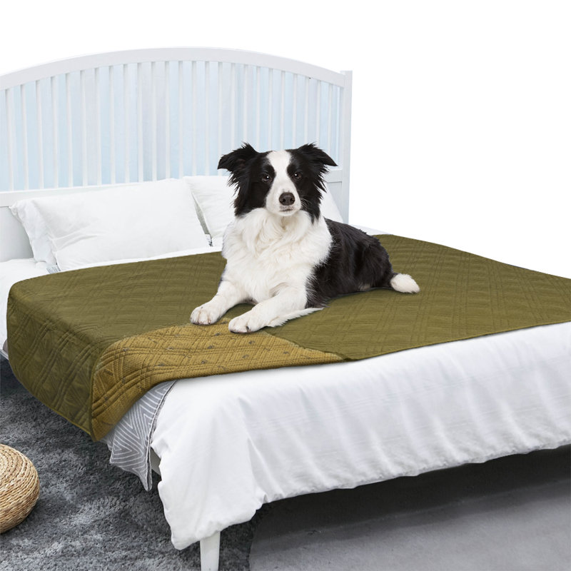 Polyester Pet Blanket, Olive Green, 102" x 82"