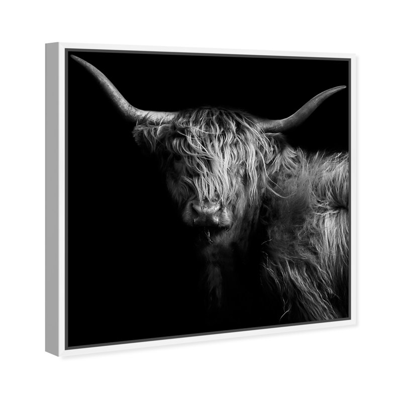 Realistic Black And White Highland Cow Photography Print by Oliver Gal, White Floater Framed, 41" H x 41" W
