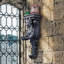 Sculpture murale Dragons of Darkmoor Castle