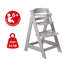 Standard High Chair-79760003