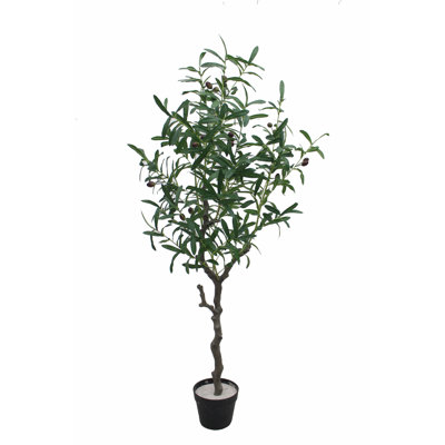 Faux Olive Tree Plant in Pot