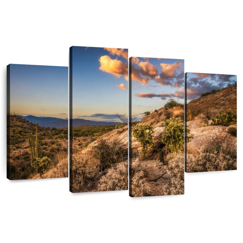 Désert de cactus Alvord Saguaro Park, H 27 po x l 43 po
