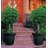 Frias Resin Pot Planter Set-2126711681-2126711680