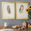 Scops - Eared Owl - Ensemble de 2 peintures sur toile encadrées-1040616812-1040616815