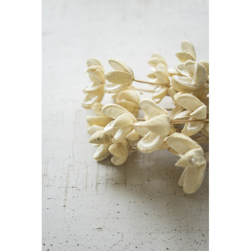  Bundle of 24 Bleached Bullet Flowers on Stems – 29"H