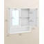 Refoel Bathroom Cabinet-1518459127-1518445882