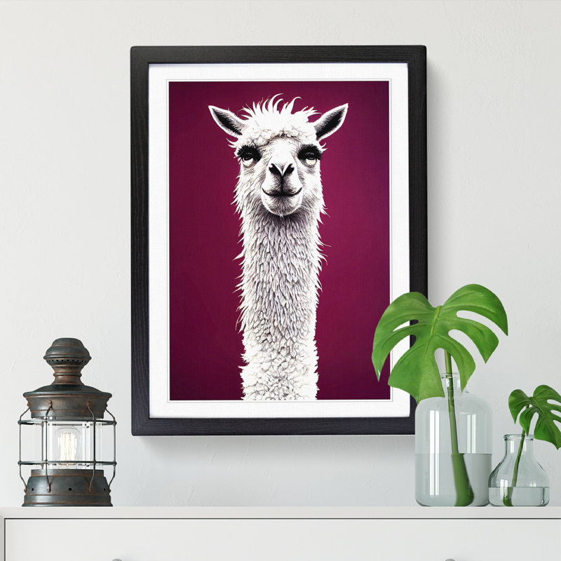 Cheltenham Face Of A Llama Vol.1 - Picture Frame Print, 64cm H x 46cm W x 2cm D, Black