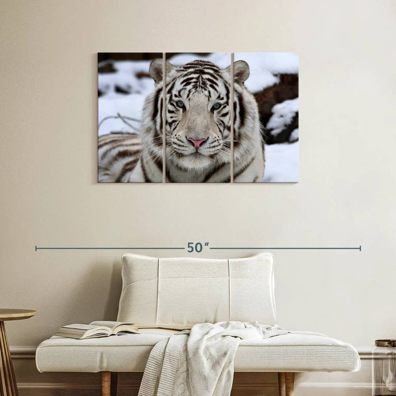 Glorious White Tiger, 24" H x 38" W