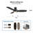 Ceiling Fan with LED Lights
