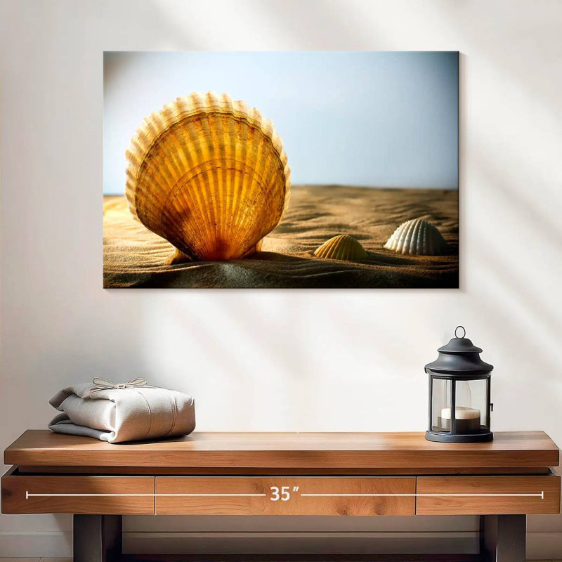 Aletra Sand Seashells