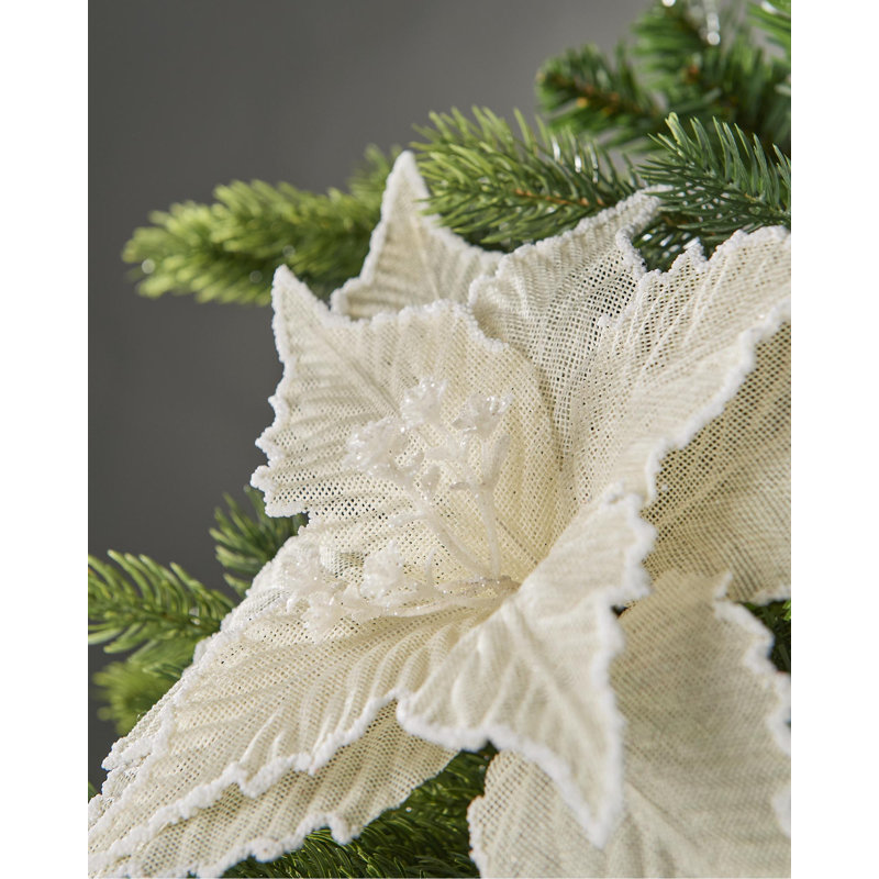 Arrangement, Ivory