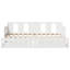 Argan Solid Wood Daybed with Trundle-204152761-204152763