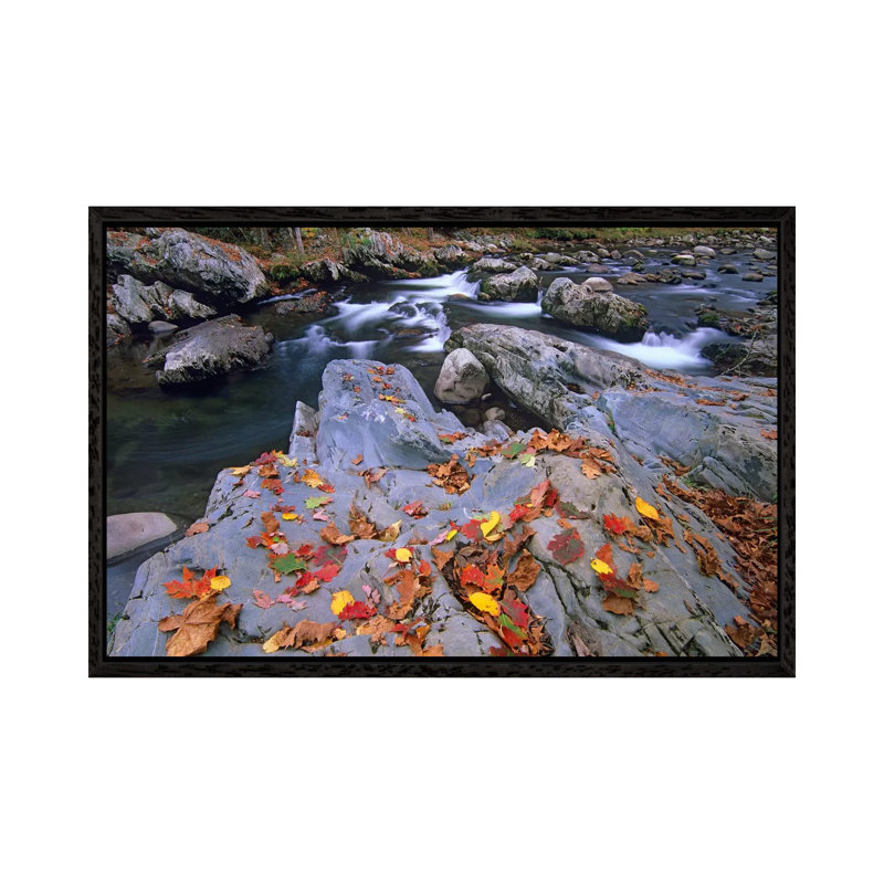 Little Pigeon River, Great Smoky Mountains National Park, Tennessee 1 Piece Wall Art on Canvas, 66.04 cm H x 45.72 cm W