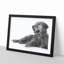 Golden Retriever - Single Picture Frame Print on MDF-56632470-56632471