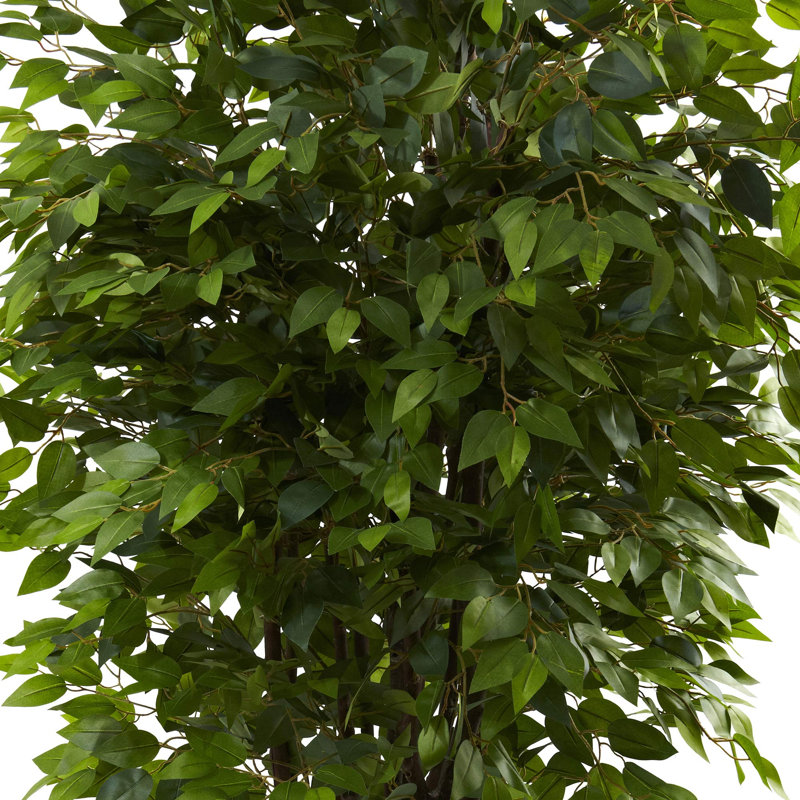 Arbre de ficus artificiel 71" en pot