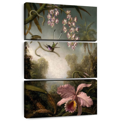 Orchidées Harnek avec colibri