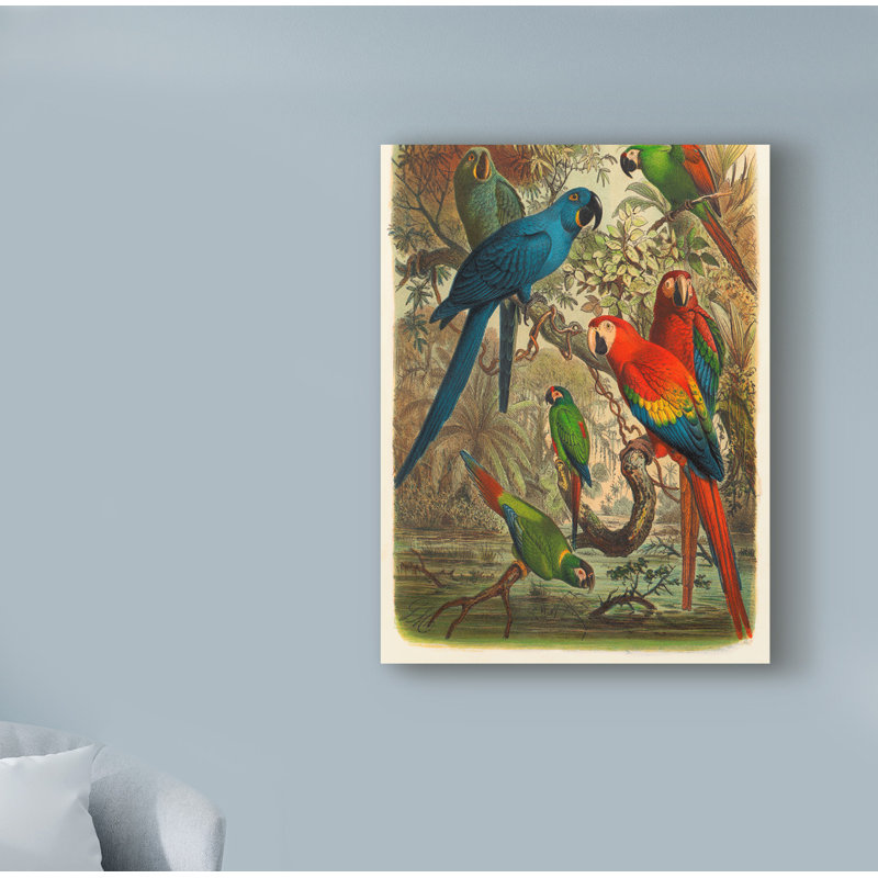 « cassel tropical oiseaux iii », reproduction d’impression sur toile tendue, H 19 po x l 14 po x P 2 po