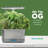 AeroGarden Harvest Elite Stainless Steel