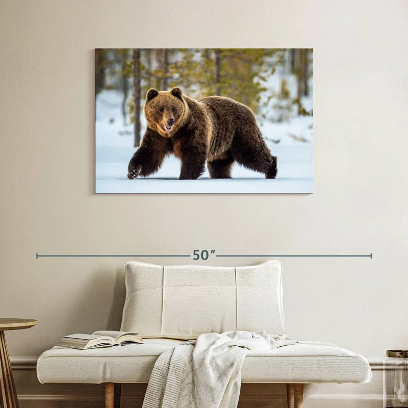 Adulte grizzly, H 26 po x l 39 po