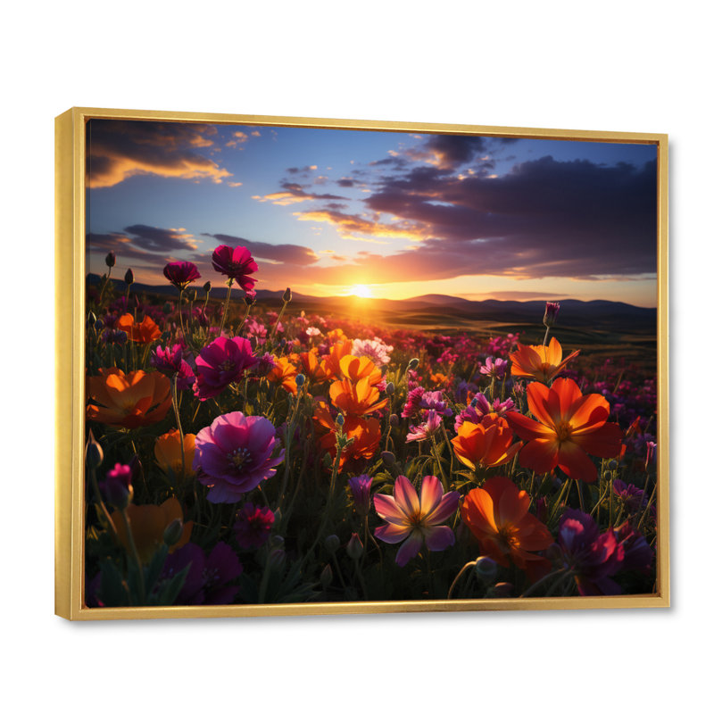 Coucher de soleil sur un champ de fleurs sauvages - Art sur toile, Cadre flottant doré, H 16 po x l 32 po x P 1 po