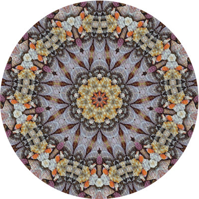 Indoor Rug