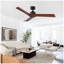 Ventilateur de plafond 52 po noir Lowe