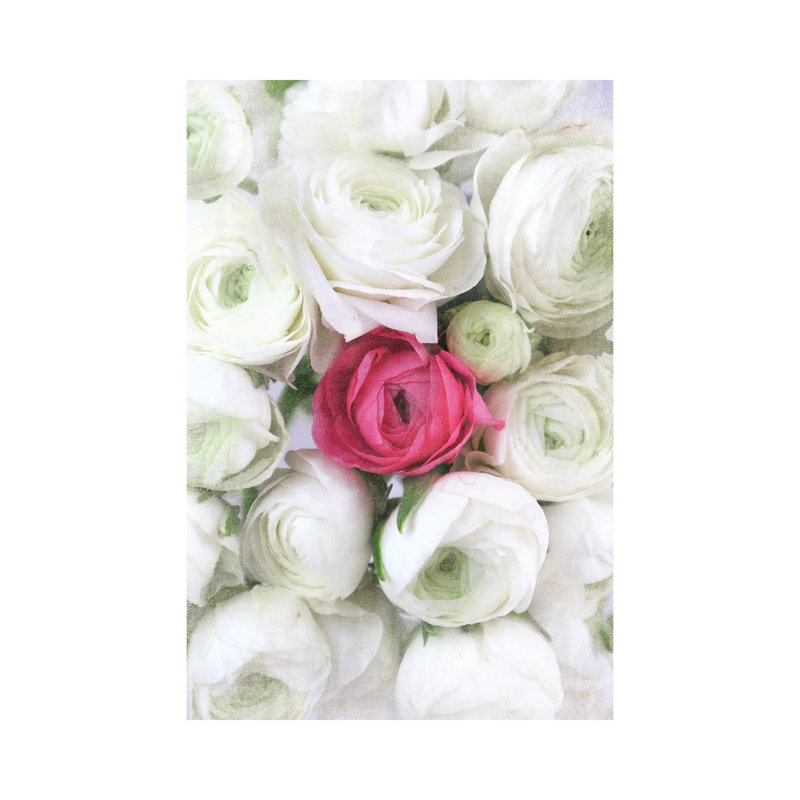Vintage Ranunculus In White And Hot Pink 1 Piece Wall Art on Canvas