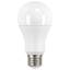 13 Watt LED Bulb-67147082-134526255