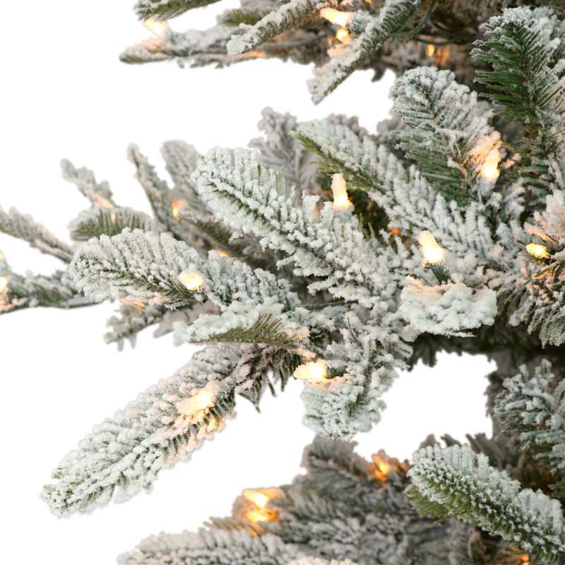 9' Lighted Spruce Christmas Tree