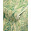 Garden Walk Taplow Abstract Pulp Blend Border-1191451758