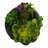 Plante grasse artificielle 7 po en pot