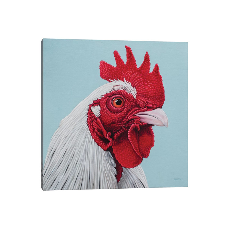 White Rooster by Clara Bastian - Wrapped Canvas Print, 66.04 cm H x 66.04 cm W x 1.91 cm D