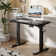 Guimauve Height Adjustable Electric Standing Computer Desk With Non-Spliced Desk Top Home Office Desk