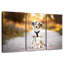 Chien avec ours en peluche-838601656