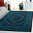 Alisa Performance Oriental Rug-33392323