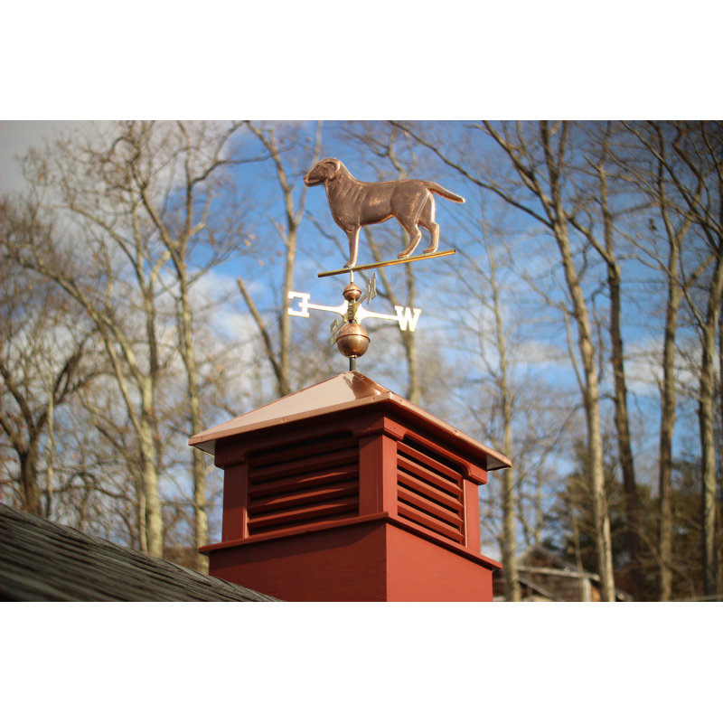 37'' H Metal Animals Weathervane, Polished Copper, Yes