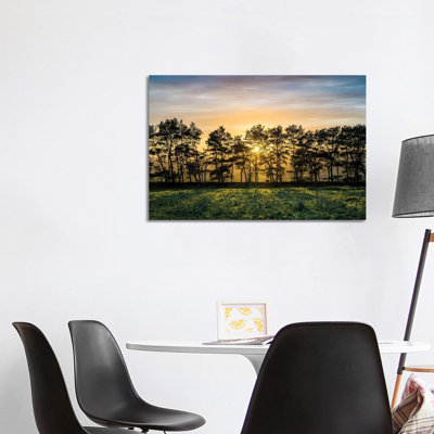 Autumn Tree Peak District UK by Stephen Hodgetts - Gallery-Wrapped Canvas Giclée on Canvas
