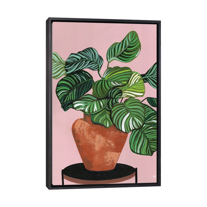 Impression d’art graphique Calatheas par Bria Nicole, H 26 po x l 18 po x 1,5 po, Toile avec cadre noir patiné, Pas de tapis
