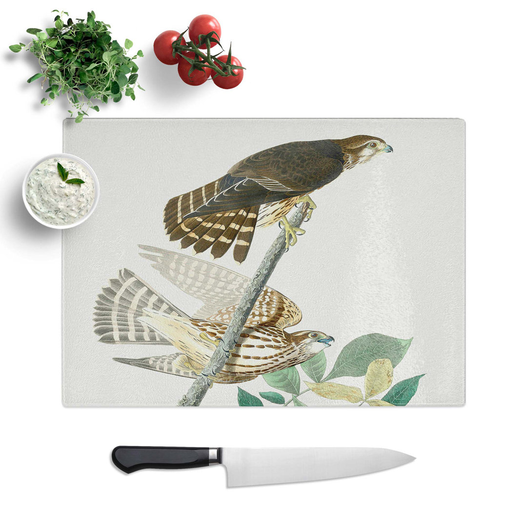 Tempered Glass Pigeon Hawks by John James Audubon Chopping Board
