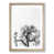 Oak Framed selected