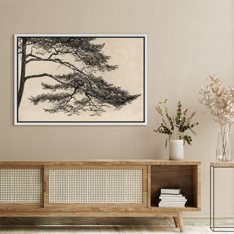 Pin, reproduction d'art sur toile, décor botanique rétro pour bureau ou bibliothèque, H 16 po x l 24 po, Blanc