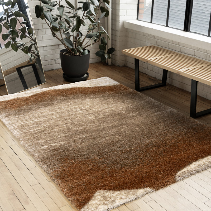 Tapis d'intérieur brun clair et rouille Jacylyn, Rectangle 5 pi 3 po x 7 pi 7 po