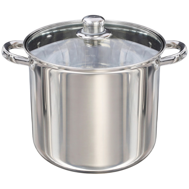Buckingham Stainless Steel Deep Stock Pot with Glass Lid Induction Compatible  , 9 L