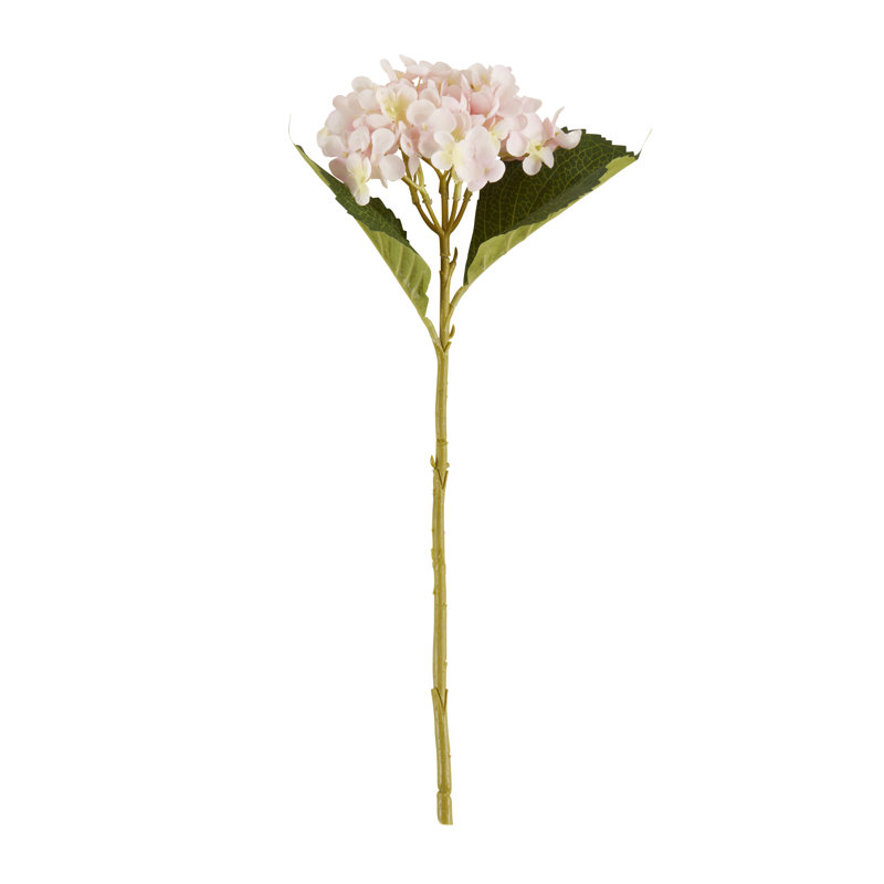 Ensemble de 12 fleurs d'hortensia