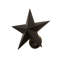 Texas Star 1 - Light Armed Sconce