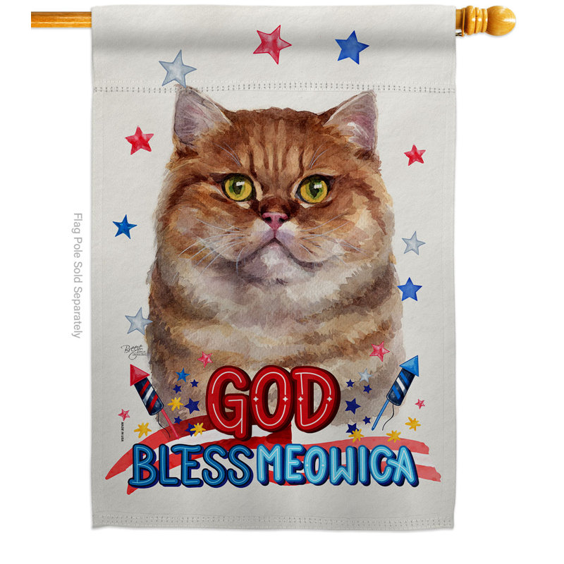 Drapeau de maison patriotique en polyester 3 faces 2 x 2 pi