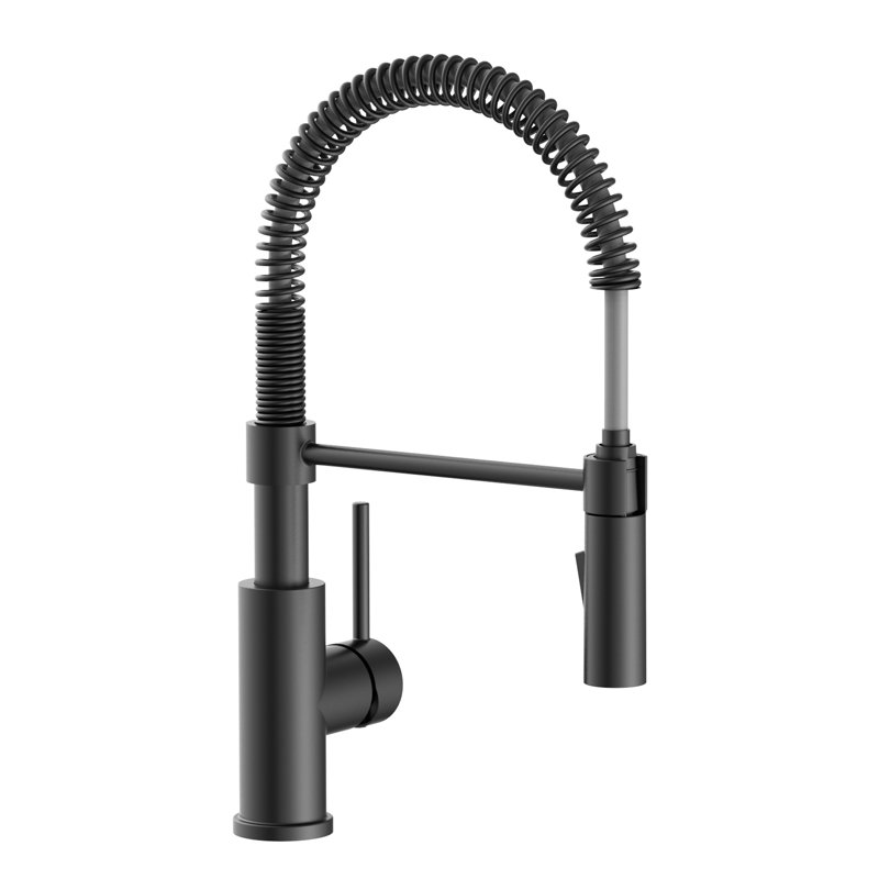 Vetta Pull Out Kitchen Faucet, Matte Black