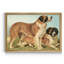 Sheep Dogs - Reproduction d'art sur toile encadrée-2088790024-2088790025