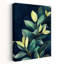 Lush Green Foliage-129148961