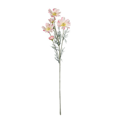 Audet Cornflower Stems